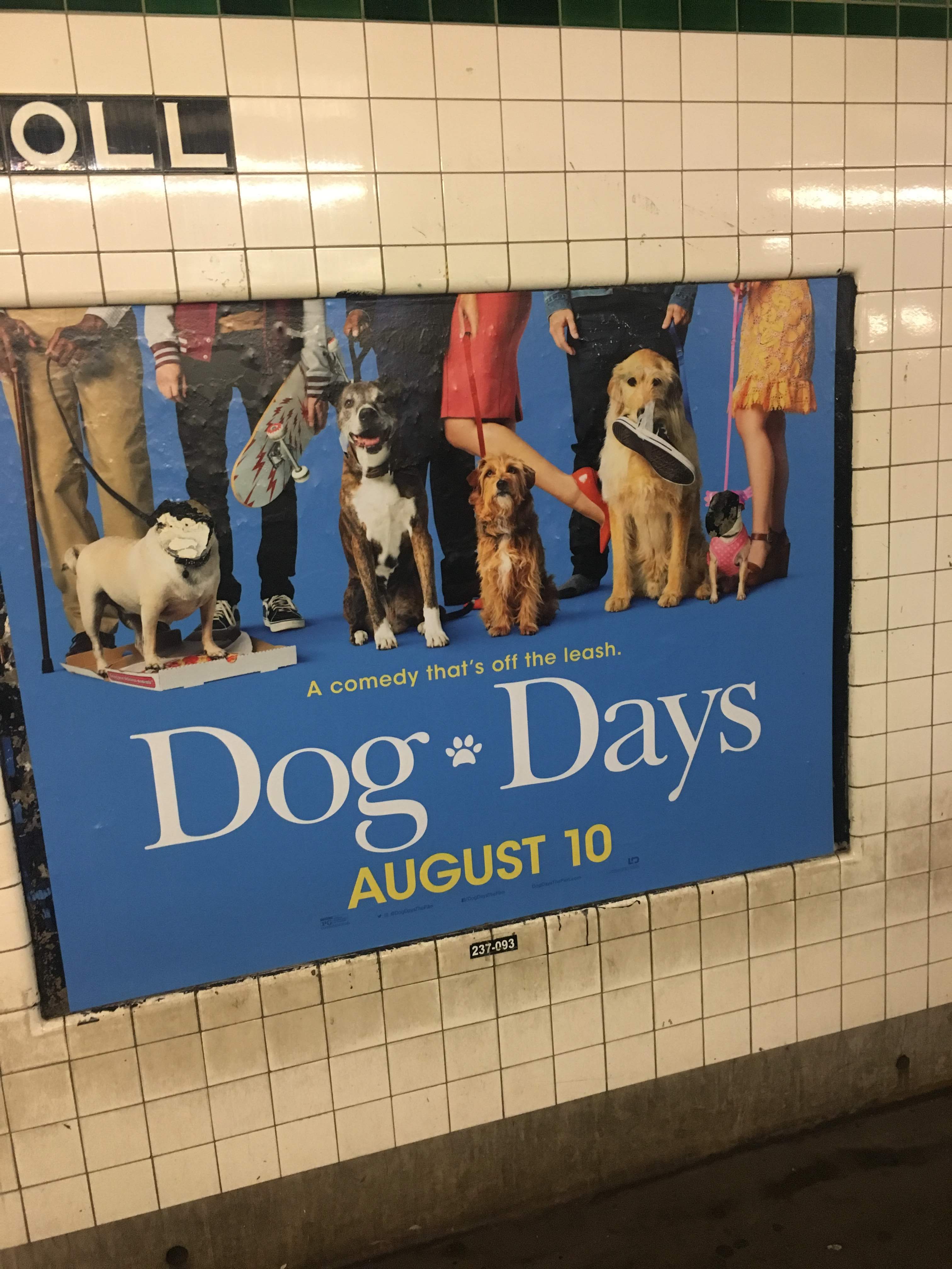 Постер фильма Dog Days с собаками на облицованной белой плиткой стене нью-йоркского метро