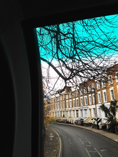 View through a vehicle window of bare tree branches, terraced brick houses and a vivid teal sky